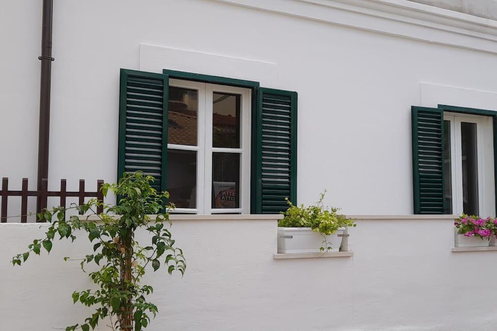 فيلا Casa Maergilu بيسكارا المظهر الخارجي الصورة