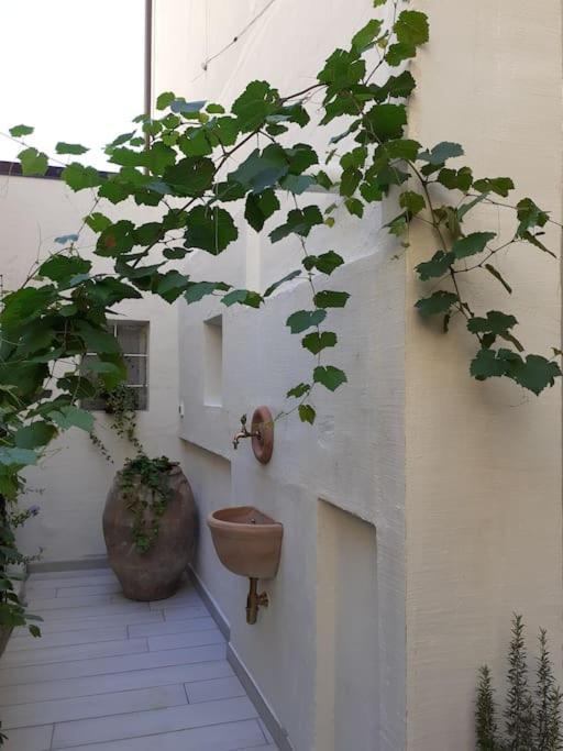 فيلا Casa Maergilu بيسكارا المظهر الخارجي الصورة