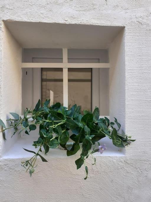 فيلا Casa Maergilu بيسكارا المظهر الخارجي الصورة