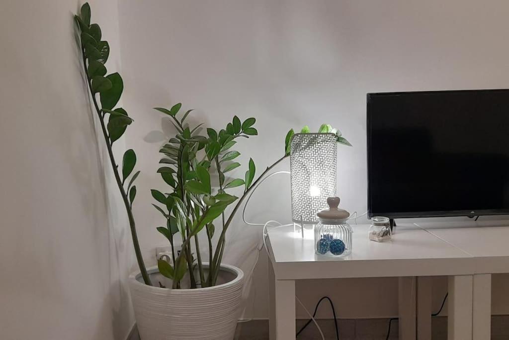 فيلا Casa Maergilu بيسكارا المظهر الخارجي الصورة